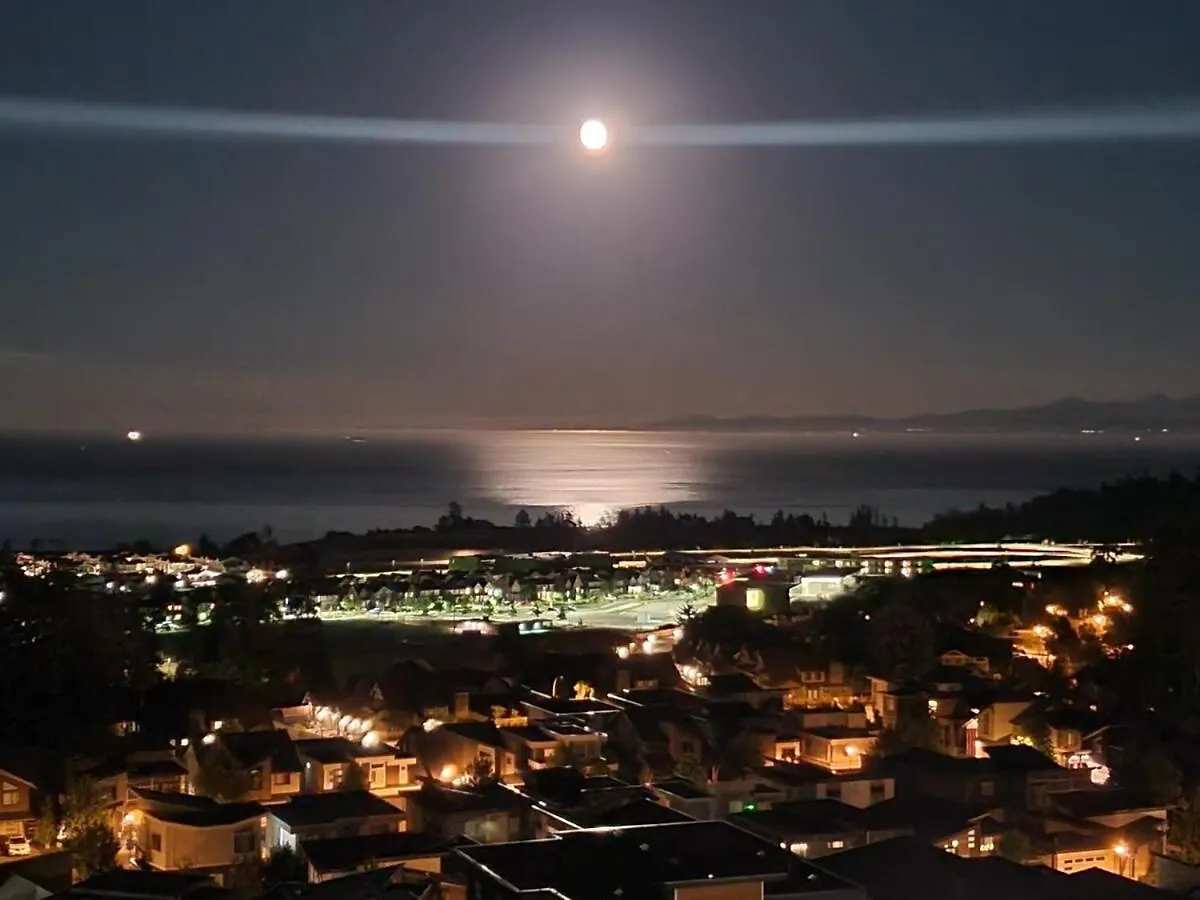Ocean View Modern 1 Bed Room Suite With Two Beds And A Full Kitchen Colwood Apartment