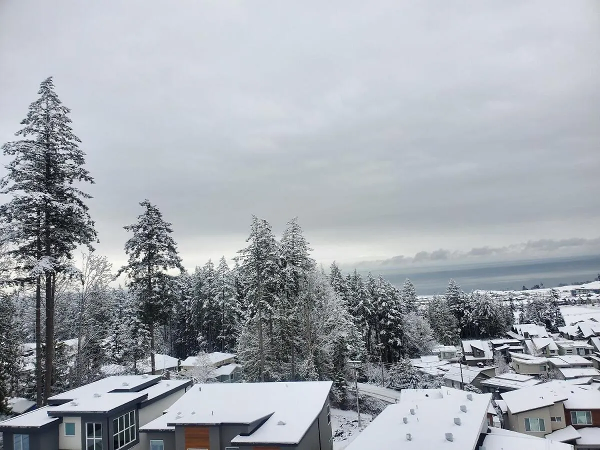 Apartment Ocean View Modern 1 Bed Room Suite With Two Beds And A Full Kitchen Colwood