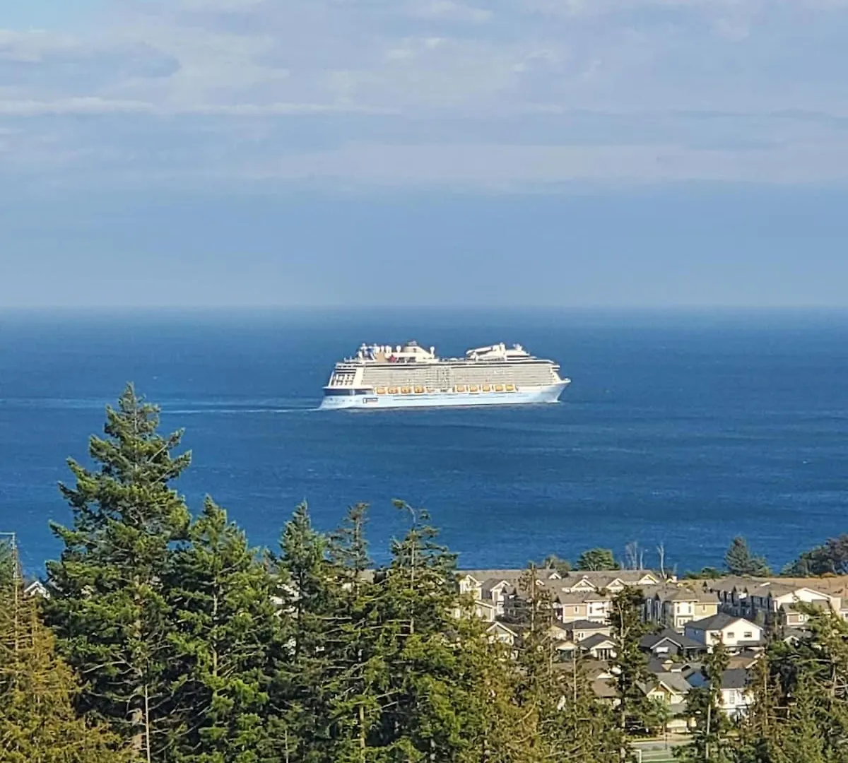 Ocean View Modern 1 Bed Room Suite With Two Beds And A Full Kitchen contacts